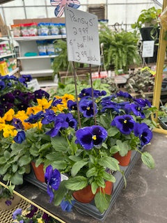 Spring at Sweetbrook: This New York Garden Center Has Beezy Beez New York Raw Honey, a Food Truck, and Pretty Pansies